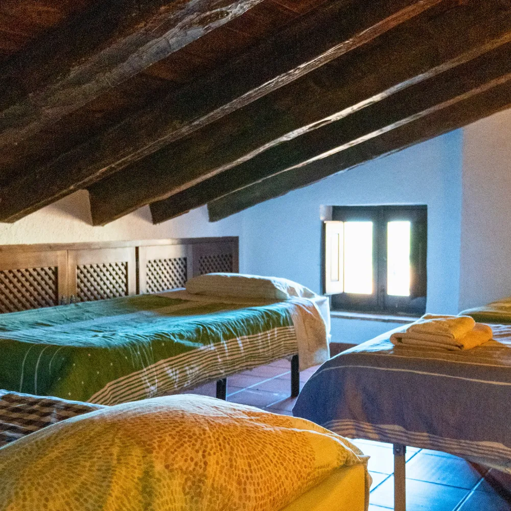 Apartamiento Castell 41