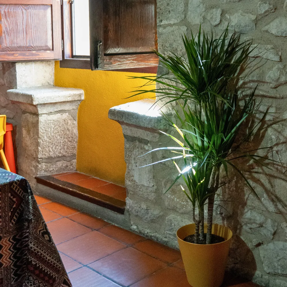 Apartamiento Cueva Del Groc 76